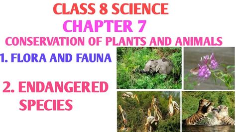 Flora and fauna class 8 | Define flora and fauna | Endangered species ...