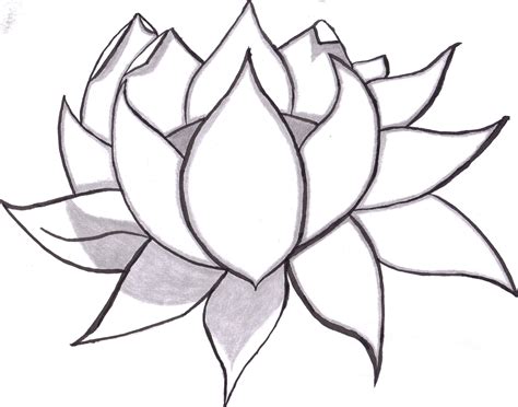 Lotus Flower Outline | Free download on ClipArtMag