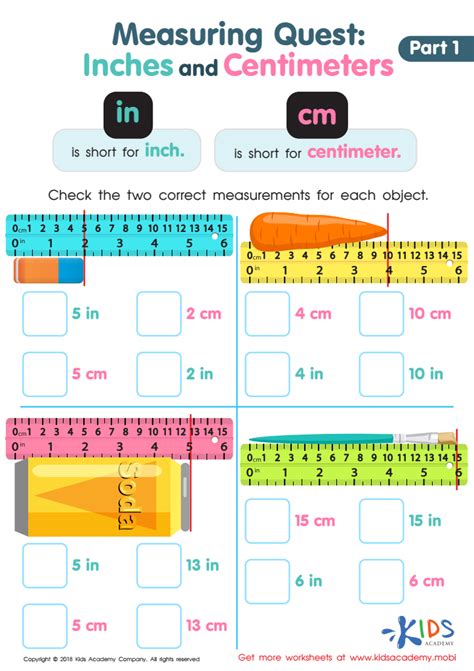 Reading A Metric Ruler Worksheet