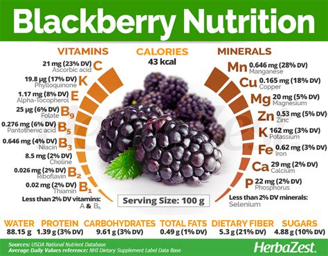 Blackberry Nutrition | Planes de alimentación saludables, Frutas y ...