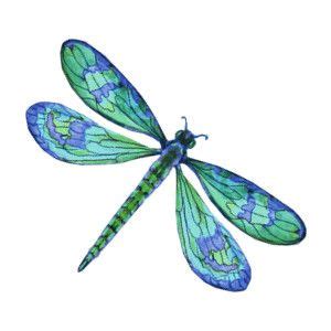 blue dragonfly clipart - Clip Art Library