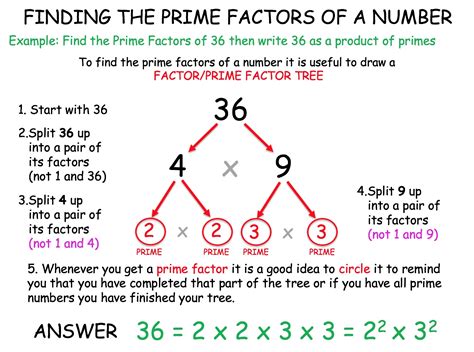 21 Prime Factor Tree