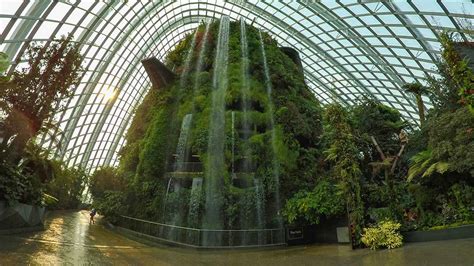 A Botanical Walk Around the Flower Dome and Cloud Forest at Gardens by ...