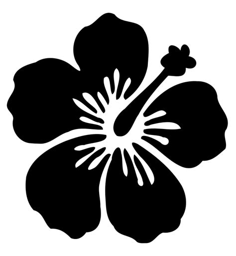 Hawaiian hibiscus Flower Silhouette - flower png download - 707*768 ...