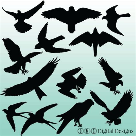 12 Falcon Silhouette Clipart Images Clipart Design Elements