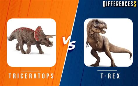 Triceratops Vs Tyrannosaurus Differences And Comparison » Differencess