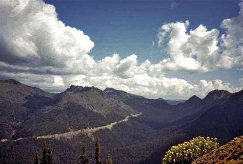 Chinook-Pass-WEB | Seattle Now & Then