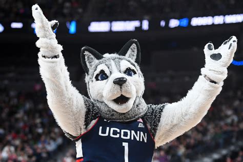 Uconn Huskies Basketball Uconn 2014 Desktop Background