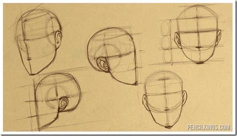 How To Draw Heads For Perfect Face Proportions