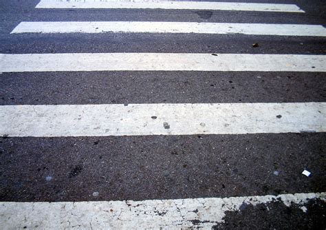 zebra crossing Free Photo Download | FreeImages