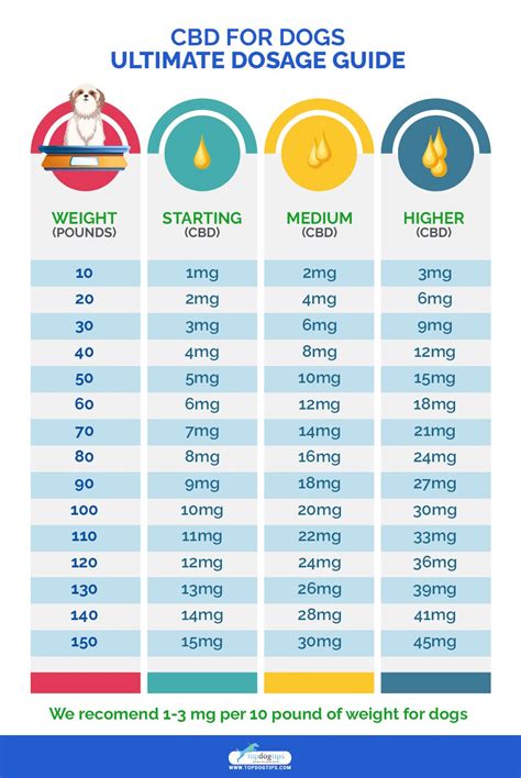 CBD and Dogs: Dosage for Oil, Treats, Pills, Liquids and More [Infographic]