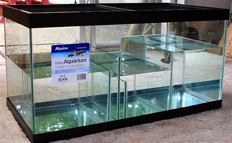 sump design | Aquarium, Aquarium fish tank, Saltwater aquarium