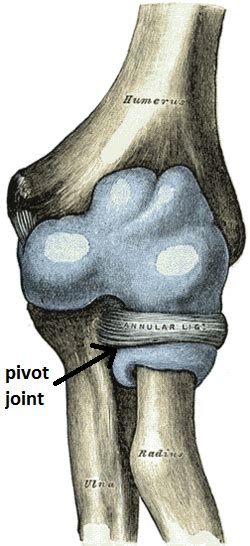 Pivot Joint Drawing Easy / Pivot tables are one of excel's most ...