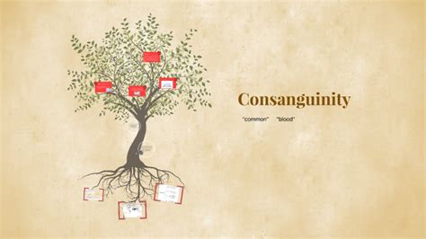 Consanguinity by Kristen MacDonald on Prezi