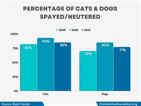 Animal Shelter Statistics - Pet Lifesaving By The Numbers!!