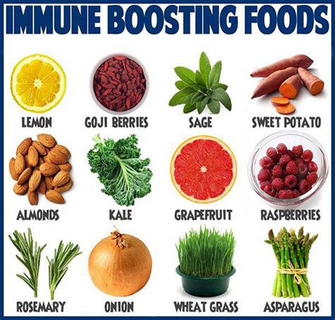 Foods that boost #immune system #health #tips - scoopnest.com