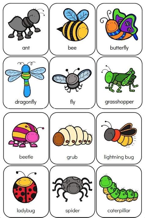 Pin on Lil Tackers Animals | Insects theme preschool, Bugs preschool ...