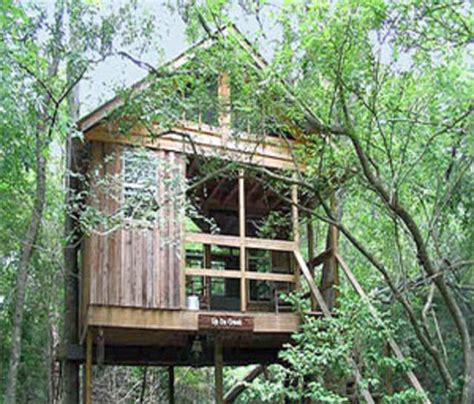 Edisto River Treehouses Canadys South Carolina - | The Economic Times