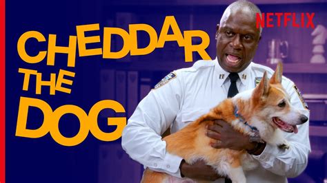 Captain Holt Hund