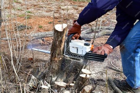 Premium Photo | A man cuts a tree with a chainsaw.