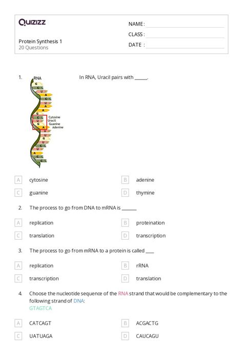 50+ rna and protein synthesis worksheets for 10th Class on Quizizz ...