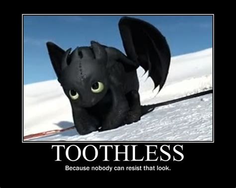 toothless memes | How train your dragon, How to train your dragon ...