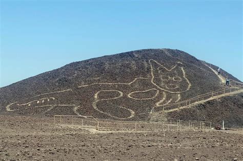 2,000-Year-Old Cat Etching Found at Nazca Lines Site in Peru - The New ...