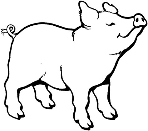 Black And White Cartoon Pig - ClipArt Best