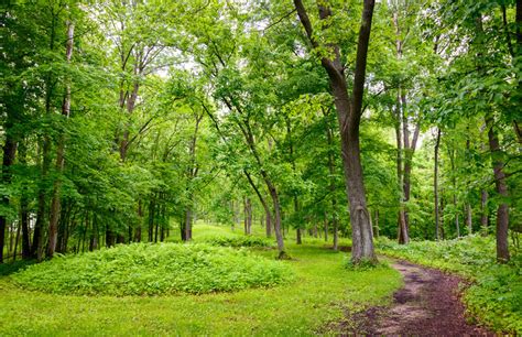 Visit Effigy Mounds In Iowa For An Adventure Into The Past