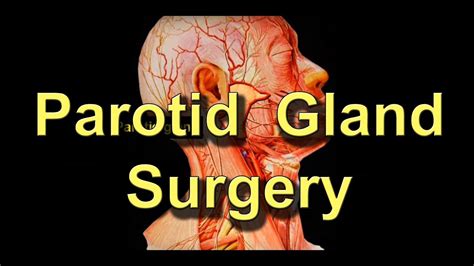 How To Save The Facial Nerve During Parotid Salivary Gland Tumor ...