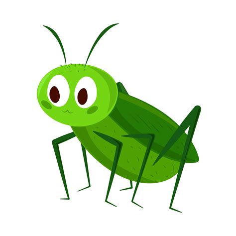 cricket insect cartoon 14217509 Vector Art at Vecteezy