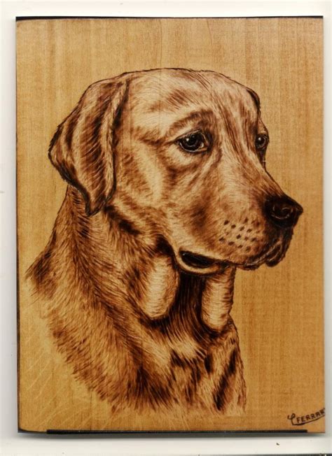 Labrador dog - Pyrography | Wood burning art, Wood burning crafts ...