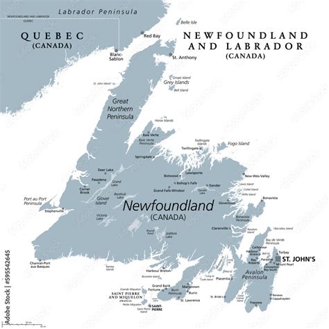 Island of Newfoundland, gray political map. Part of Canadian province ...