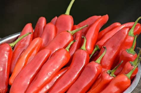 Types of Chili and its Benefits | Fit For The Soul