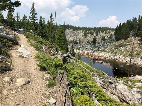 Bighorn National Forest - Home