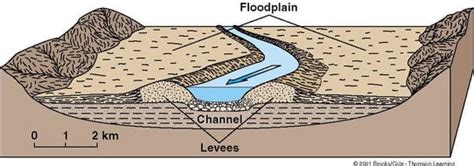 Floodplains, Levees & Estuaries - ROSSETT GEOGRAPHY DEPARTMENT