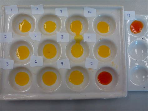 Natural pH Indicator ~ Biochemistry