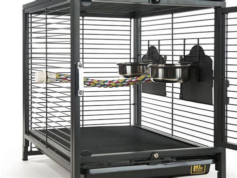 Best 6 Zebra Finch Cages Making Your Bird Happy 2022 Reviews