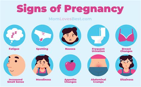 7 Best DIY Homemade Pregnancy Tests (2022 Guide) (2023)