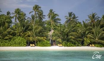 Mercure Maldives Kooddoo Updated Room Price 2022