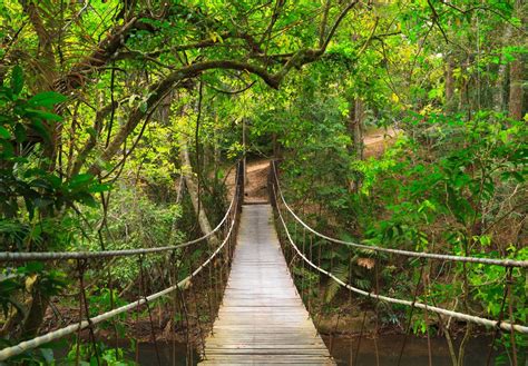 Khao Yai Forest Complex - World Heritage Routes Travel | Khao yai ...