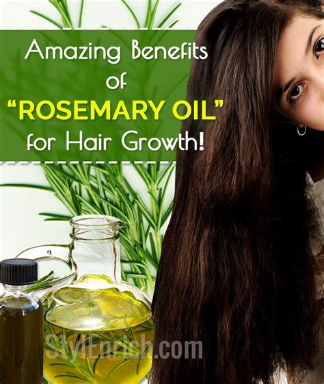 Rosemary Oil for Hair Growth : Esssential Oil To Maintian Hair Hygiene