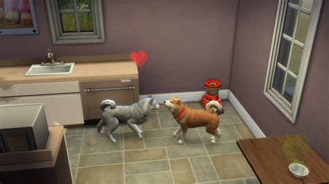 Sims 4 cats and dogs breeding and selling - denjas