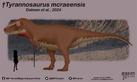 Tyrannosaurus mcraeensis Dalman et al., 2024 by MIFverse on DeviantArt