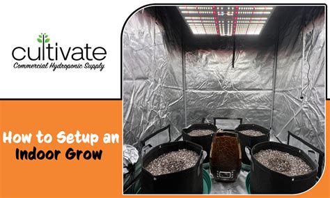 How to Set Up an Indoor Grow Tent – Cultivate Supply