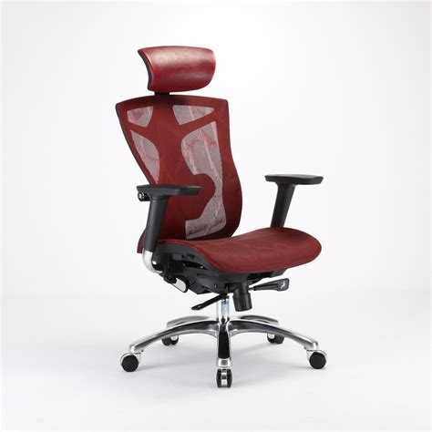 Sihoo Ergonomic Mesh Office Chair - China Executive Office Chair and ...