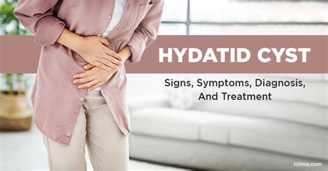 What Is a Hydatid Cyst?