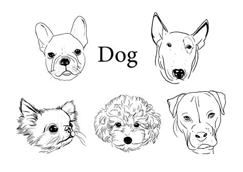 Dog Set Line Art Black and White Clipart Graphic by chu.mono.pho ...