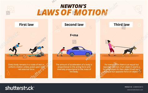 Newtons Law Motion Infographic Diagram Examples Stock Vector (Royalty ...