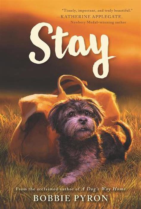 Stay by Bobbie Pyron (English) Paperback Book Free Shipping ...